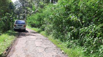 Gambar 2 Dijual Kebun Cengkeh Aktif Pinggir Jalan Daerah Ngajum