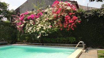 Gambar 1 House For Rent At Kemang, Big Garden, Big Swimming Pool