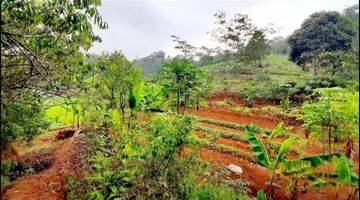 Gambar 5 DIJUAL Tanah di Cikalong wetan bandung barat 1,7 hectare