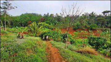 Gambar 4 DIJUAL Tanah di Cikalong wetan bandung barat 1,7 hectare