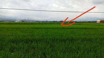 Gambar 1 Dijual Sawah Daerah Banjarang