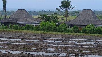 Gambar 5 Jual tanah view laut dan gunung