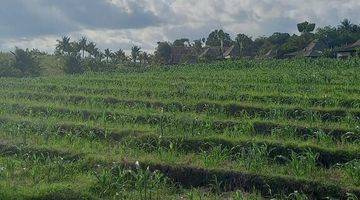 Gambar 3 Jual tanah sawah view laut dan gunung