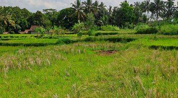 Gambar 1 Jual tanah ubud payangan