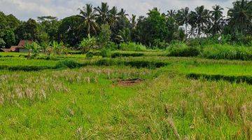 Gambar 2 Jual tanah ubud payangan