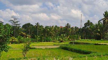 Gambar 3 Jual tanah ubud payangan