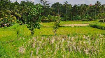 Gambar 4 Jual tanah ubud payangan