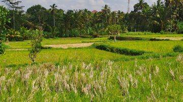 Gambar 5 Jual tanah ubud payangan