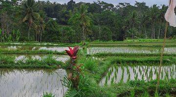 Gambar 1 Jual tanah ubud terasiring