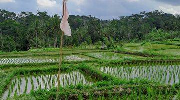 Gambar 2 Jual tanah ubud terasiring