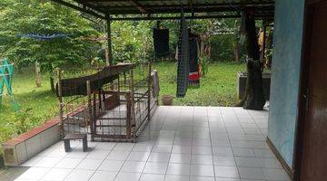 Gambar 4 Rumah 2 Lt, Shm,bisa Bundling Dng Kebun 1565m2 Nego Sampai Jadi, 