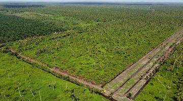 Gambar 1 Tanah 30 Ha di Kec. Jongkat, Kab. Mempawah, Kalimantan Barat