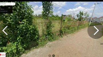 Gambar 3 Dijual Tanah dan Kebun Jeruk di Desa Sumbersekar Dau Kabupaten Malang.
