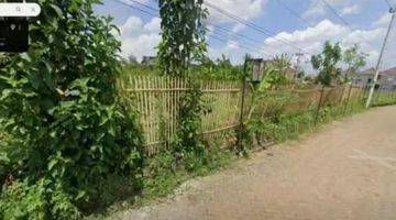 Gambar 2 Dijual Tanah dan Kebun Jeruk di Desa Sumbersekar Dau Kabupaten Malang.
