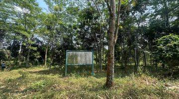 Gambar 2 TANAH DI CIANGSANA GUNUNG PUTRI BOGOR   