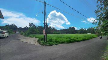 Gambar 1 300 Meter Ringroad Barat, Tanah Jogja Cocok Kost Homestay