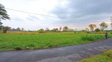 Gambar 4 Kavling Villa di Palagan Sleman, View Sawah 3 Jutaan SHM