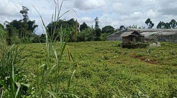 Gambar 1 Dijual Cepat Tanah di Jalan Gandrung Cisarua Lembang