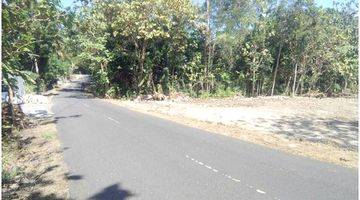 Gambar 2 Tanah Dijual Spot Investasi di Wates, Kulon Progo SHM 141 m²