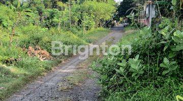 Gambar 2 Tanah Di Jalan 0 Propinsi