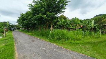 Gambar 4 Tanah Jogja Tepi Jalan 1 Jutaan Akses Mobil Papasan Di Prambanan