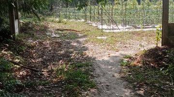 Gambar 5 dijual murah lahan sawit produktif dan gudang sawit area kampar, Riau