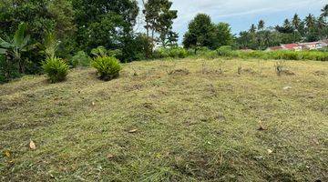 Gambar 1 Tanah Murah Mayang Kebun Daging