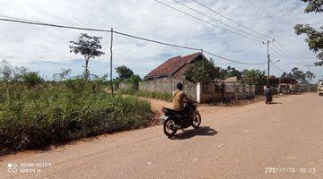 Gambar 1 Tanah Murah Kebun 9 Muaro Jambi