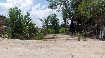 Gambar 2 Tanah Siap Bangun Kebun Daging Jambi