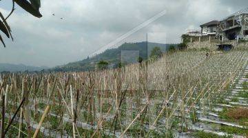 Gambar 1 Tanah Kavling Di Cikole Lembang View Bandung, Cakep Banget Udara Sejuk