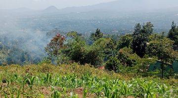 Gambar 4 Tanah Dijual Dicijeruk Bogor View Gunung Pangrango 