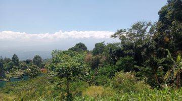 Gambar 3 Tanah Dijual Dicijeruk Bogor View Gunung Pangrango 