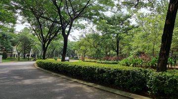 Gambar 3 Kavling Besar Hook Lokasi Bagus Cajuputi De Park Bsd