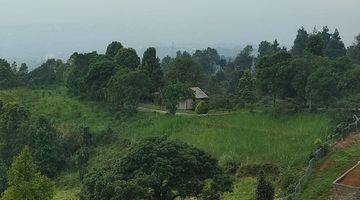 Gambar 1 Tanah SHM di Tajur halang cijeruk Bogor view lepas