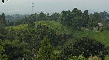 Gambar 2 Tanah SHM di Tajur halang cijeruk Bogor view lepas