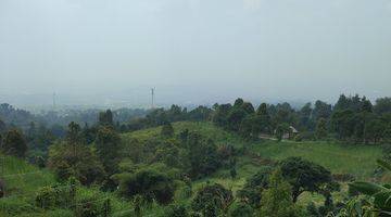 Gambar 5 Tanah SHM di Tajur halang cijeruk Bogor view lepas