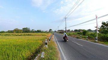 Gambar 4 Tanah Mangku Jalan Aspal, Dekat Kampus Unisia, 400 Jt Shm Pekarangan