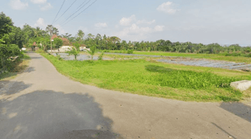 Gambar 2 Dijual Cepat Tanah Palagan Km. 11, Yogyakarta