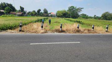 Gambar 3 400 Jt-an, Jual Tanah Murah Godean, 10 Menit Kampus UMY Jogja