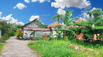 Gambar 3 Lingkungan Sejuk View Sawah, Sebidang Tanah Pekarangan Luas 200m