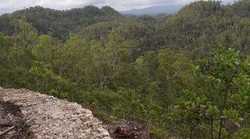 Gambar 1 lahan wisata 3 ha di pacitan di jl pacitan goa gong