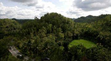 Gambar 2 lahan wisata 3 ha di pacitan di jl pacitan goa gong