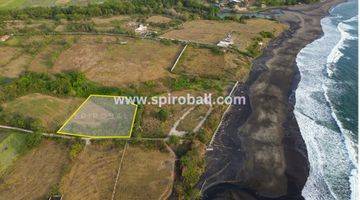 Gambar 4 Di Jual Tanah Hak Milik 39 Are Ocean View Pantai Nyanyi Tabanan