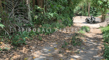 Gambar 4 Leasehold 450m2 Land In Cepaka North Canggu