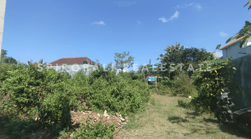 Gambar 1 Dijual Global Tanah Hak Milik 410 Sqm di Gedong Sari Nusa Dua