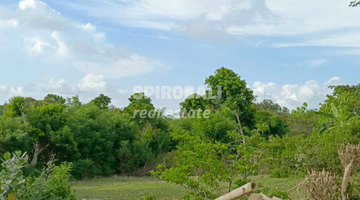 Gambar 1 For Sale Freehold Land 10 Are Unblock Ocean View In Ungasan