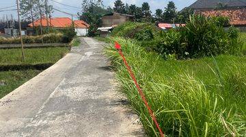 Gambar 2 Leasehold Premium Land Unblock Ocean View In Seseh