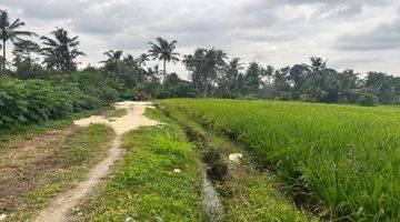 Gambar 3 Tanah Kebun Durian Dan Alputakat View Sawah Gunung Di Tabanan Bali.