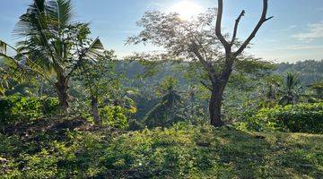 Gambar 5 Tanah Kebun View Gunung Cantik Dekat Jalan Utama Murah Di Tabanan Bali.