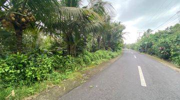 Gambar 1 Tanah Kebun Buah Los Sungai Lembah Indah Di Tabanan Bali.